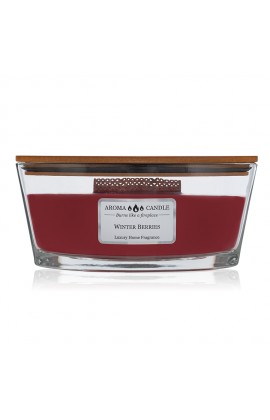 Aroma Candle Tricolor Winter Red Berries